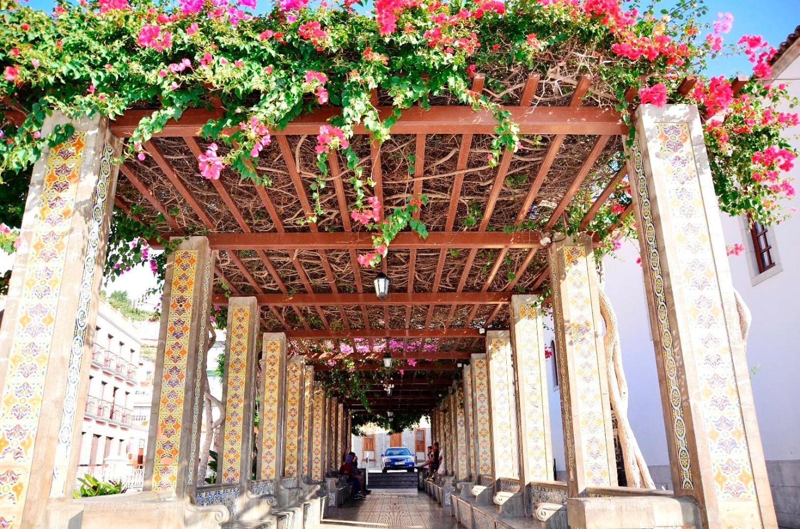 Casa Finca Avocado Los Llanos De Aridane Ngoại thất bức ảnh