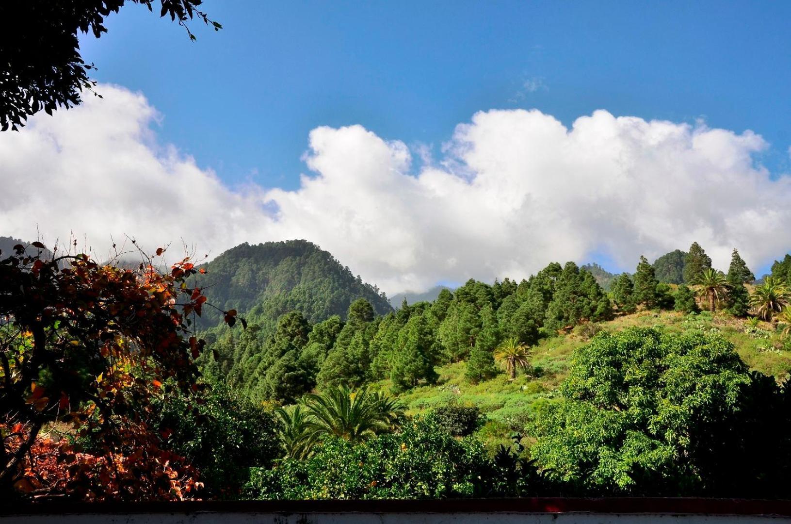 Casa Finca Avocado Los Llanos De Aridane Ngoại thất bức ảnh